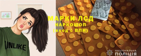 прущие грибы Гусев