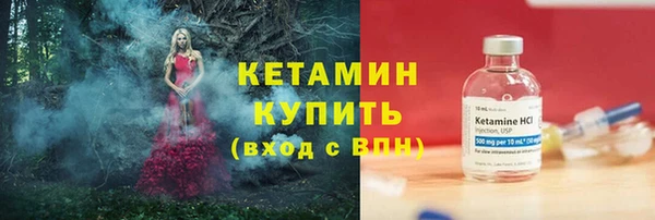 прущие грибы Гусев