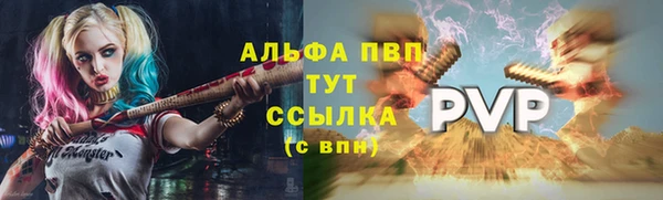 a pvp Гусь-Хрустальный