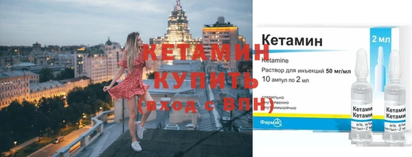 прущие грибы Гусев