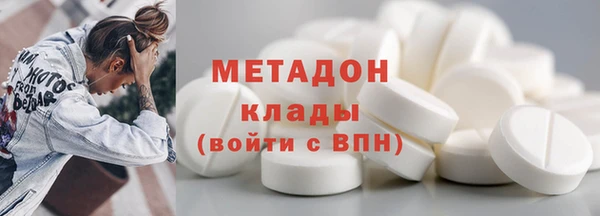 прущие грибы Гусев