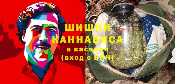 прущие грибы Гусев