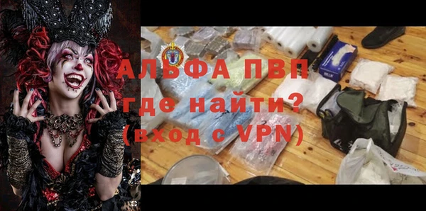 прущие грибы Гусев