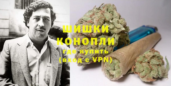 прущие грибы Гусев