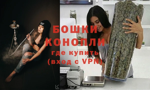 a pvp Гусь-Хрустальный