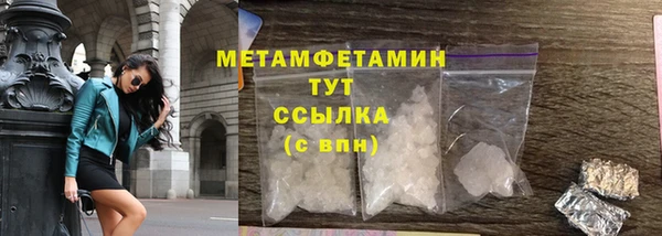 прущие грибы Гусев