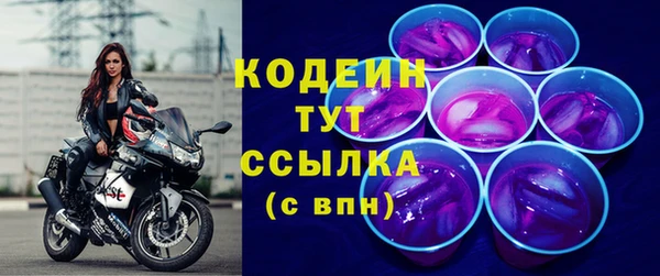 прущие грибы Гусев